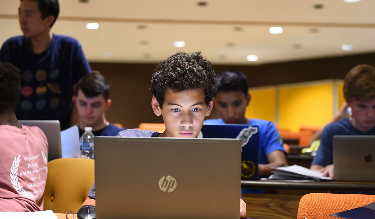 Student looks at laptop screen