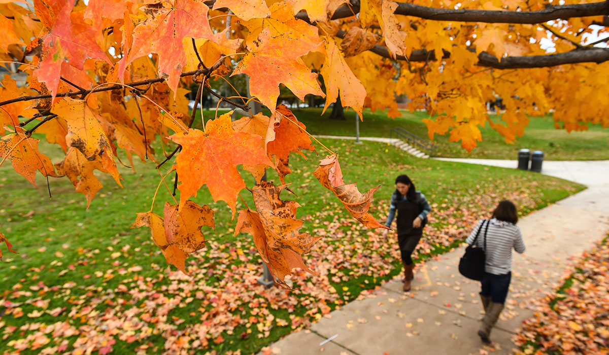 Orange leaves and students walking across campus