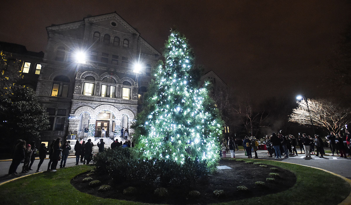 Tree lit up in front of McMahon Hall