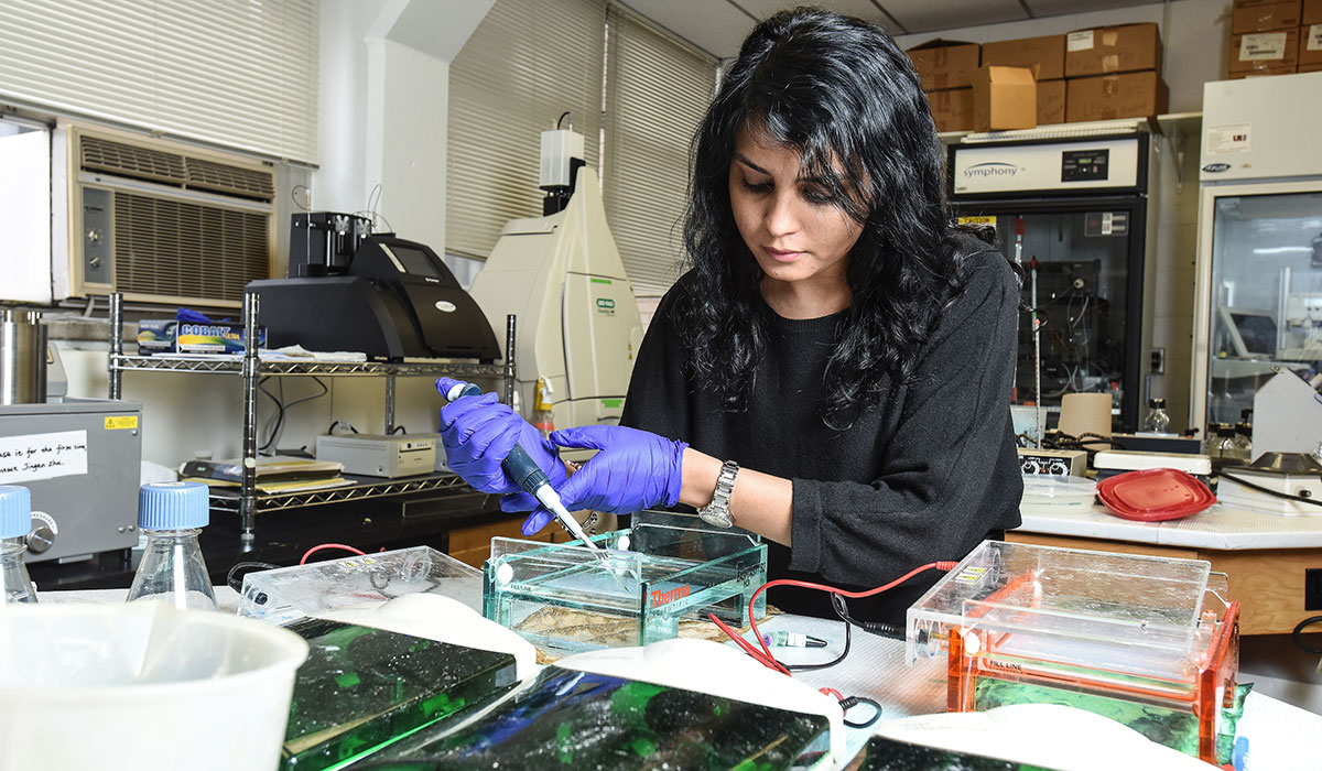 Student conducting research in lab