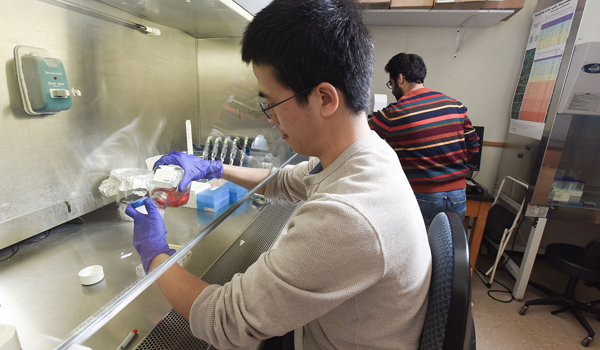 Research team member conducting research in lab