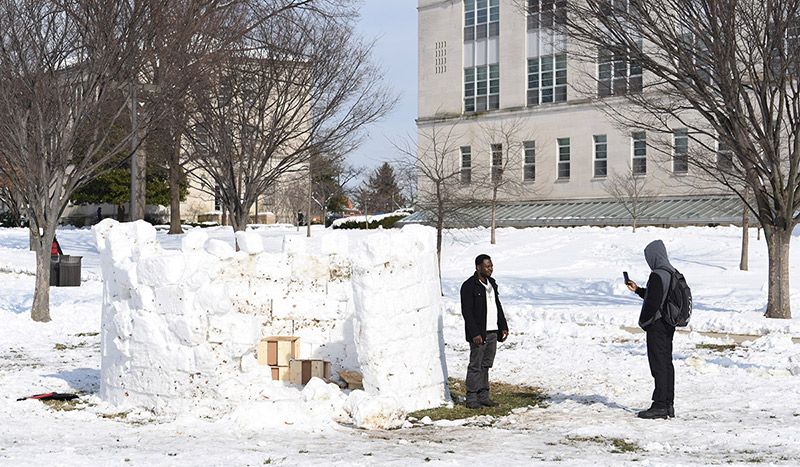 Red trees at the end of walkways going uphill