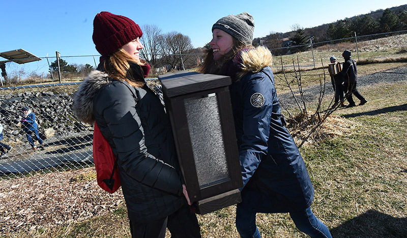 Student walking toward student center under a fall tree with leaves on the ground