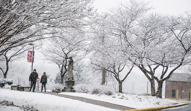 Residence hall building as seen through yellow leaves