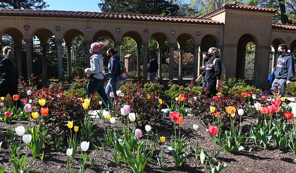 Students at the Franciscan Monastery walking behind tulips