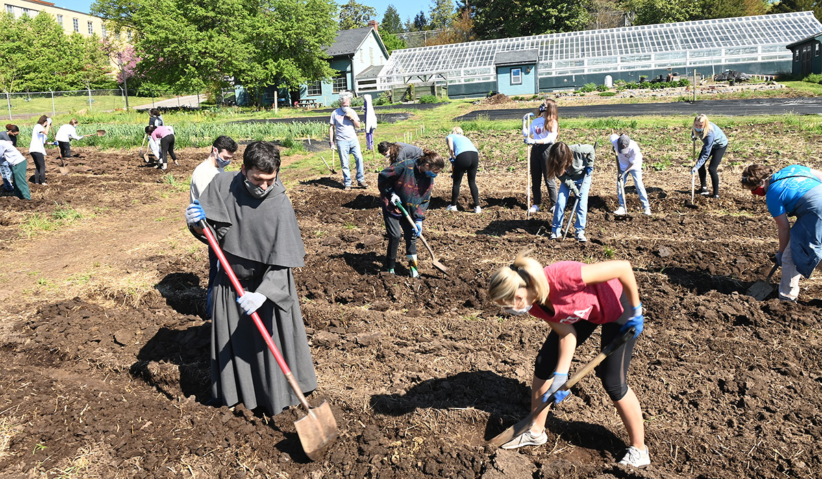 Several students working in the garden