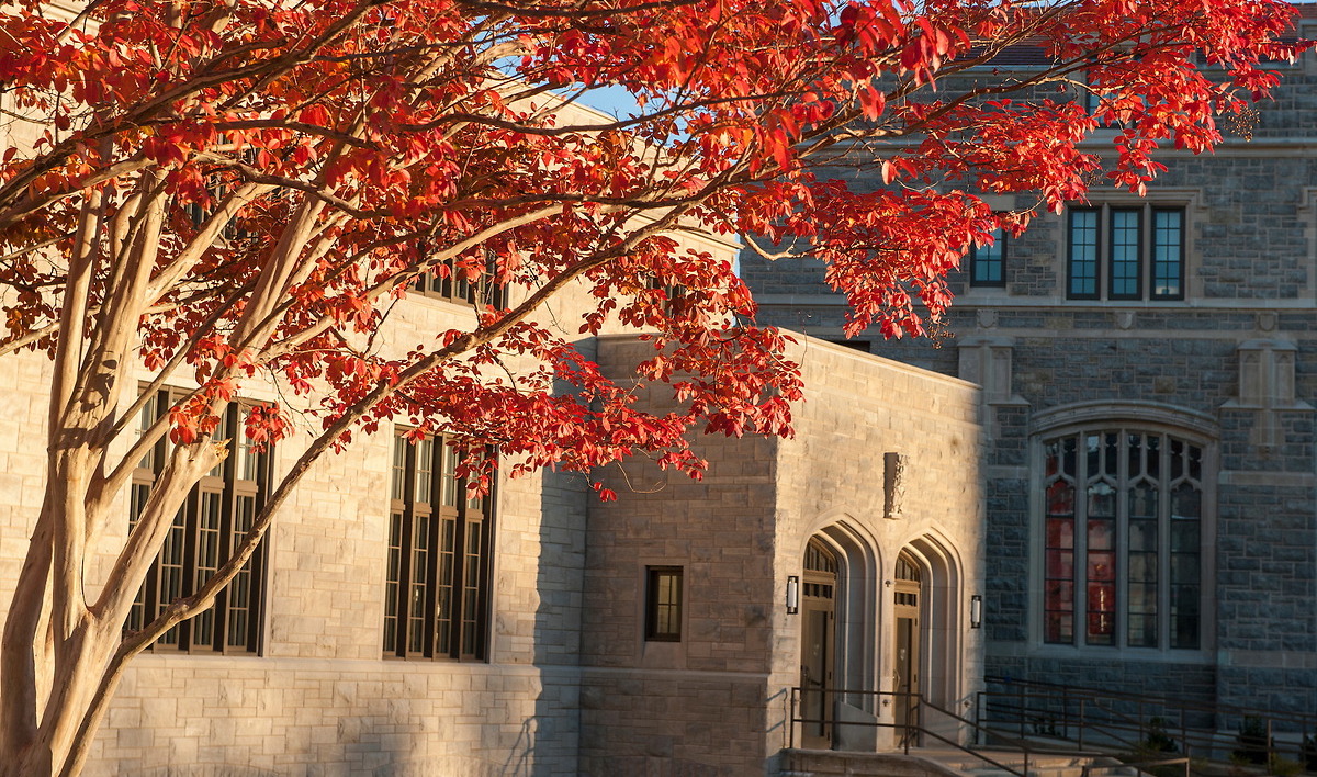 Bright red trees near Father O'Connell Hall