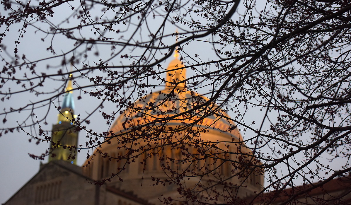 Basilica showing through tree branches