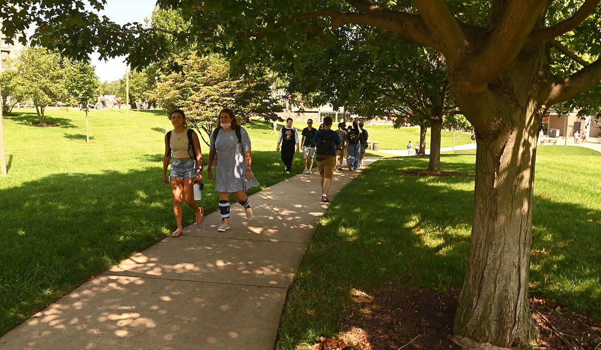 Students walking under a tree