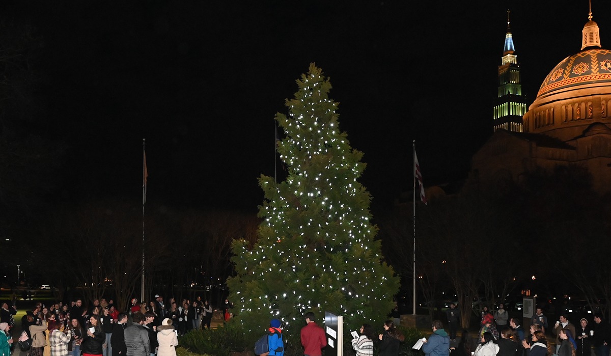the University Christmas tree lit up at the lighting ceremony