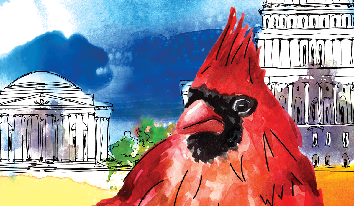 Painting of a cardinal in front of the capitol and Jefferson memorial