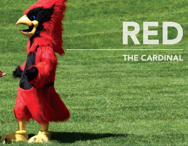 Red, the Cardinal mascot standing on a green lawn. Text reads Read the Cardinal.