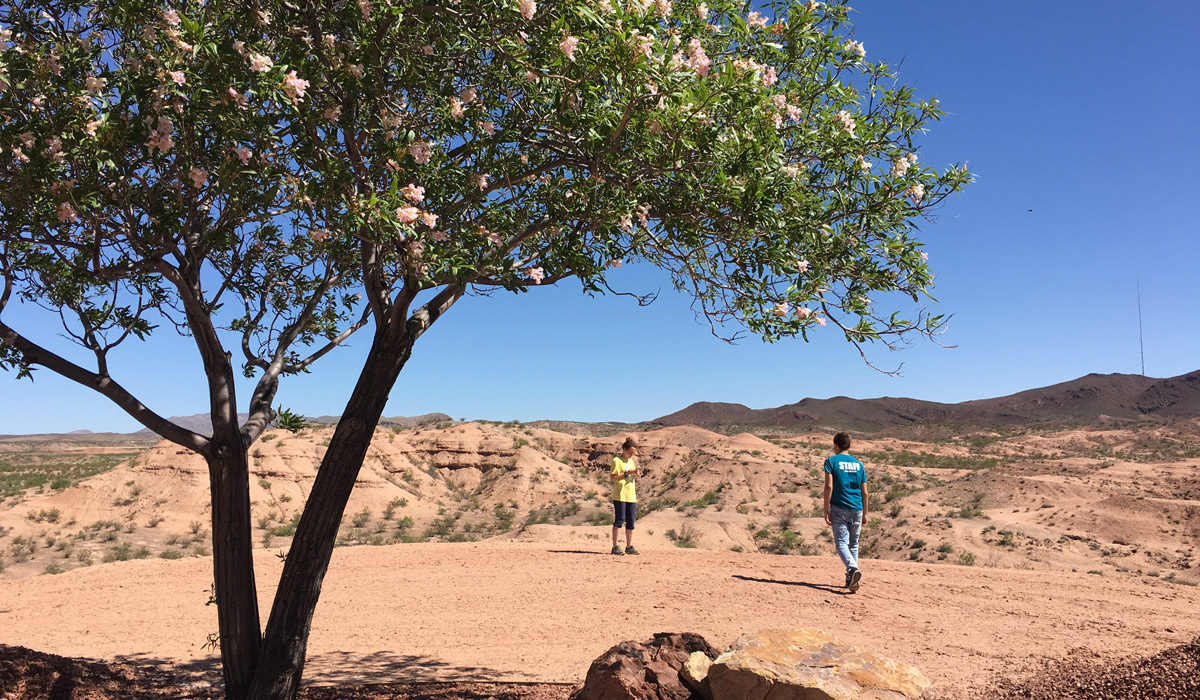 Catholic University students take in a view of the dessert outside Hatch, New Mexico.