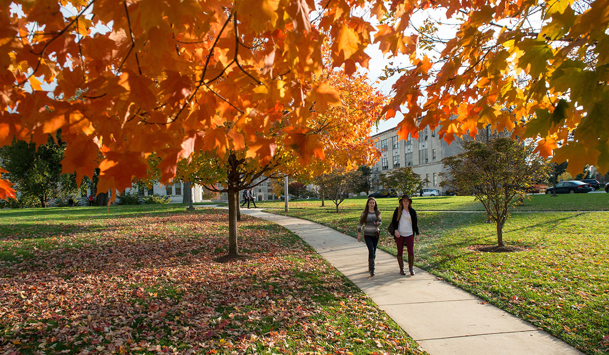 Students crossing campus in fall