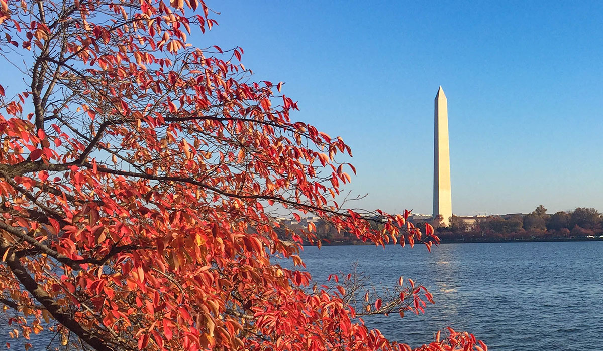 Washington Monument with tree with red leaves