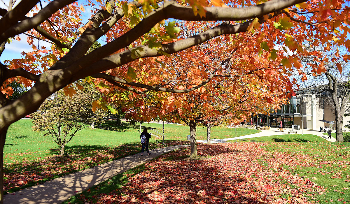Student walking toward student center under a fall tree with leaves on the ground