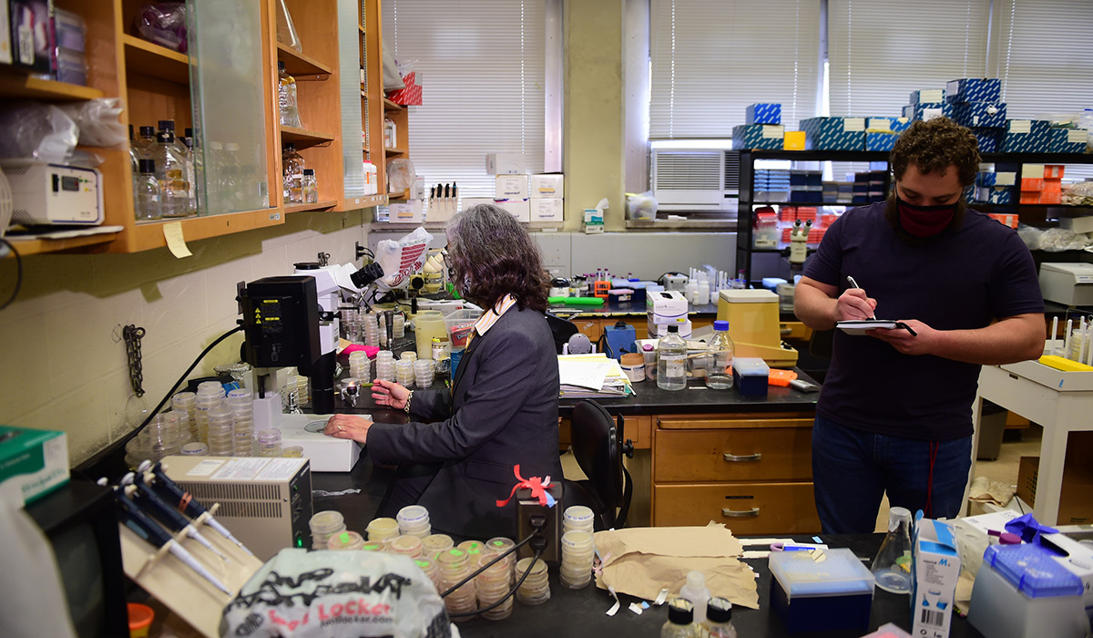 Professor Ann Corsi and graduate student conducting research in a lab