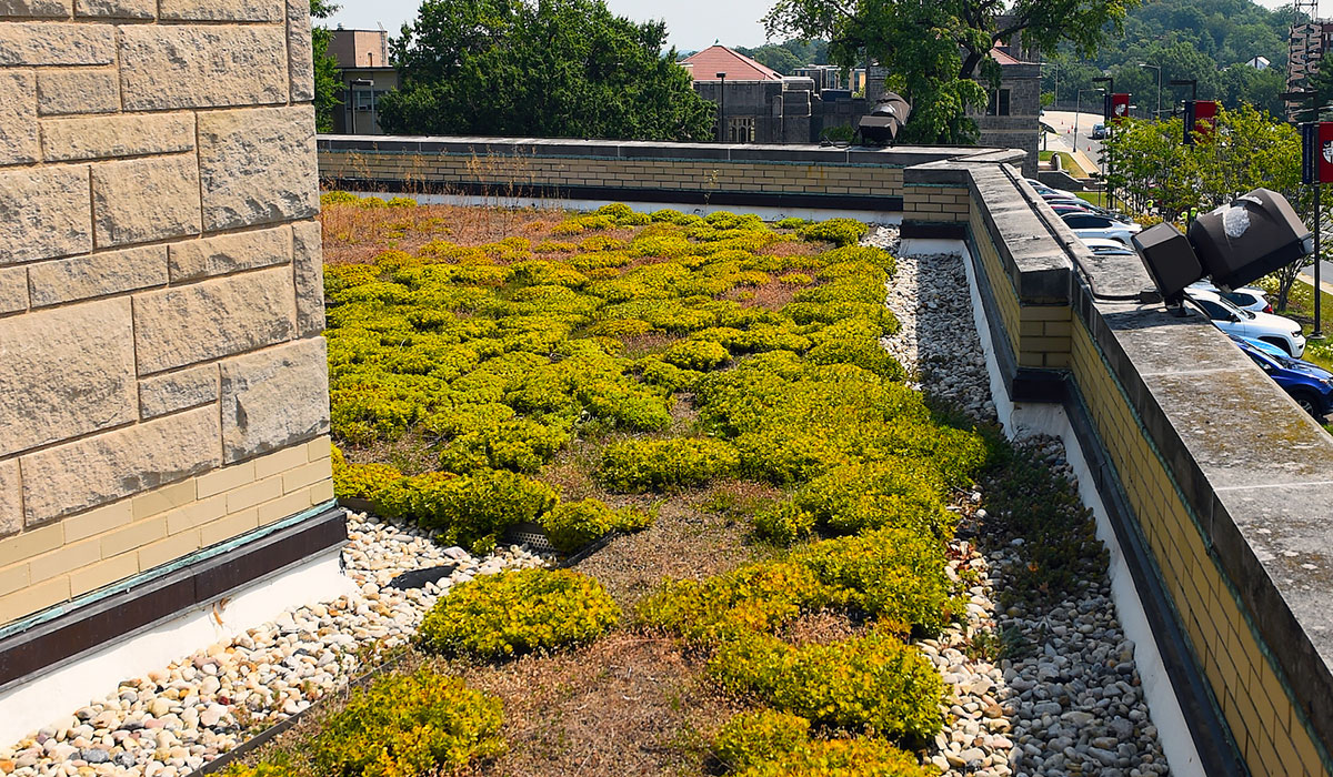 Green roof of O'Connell Hall