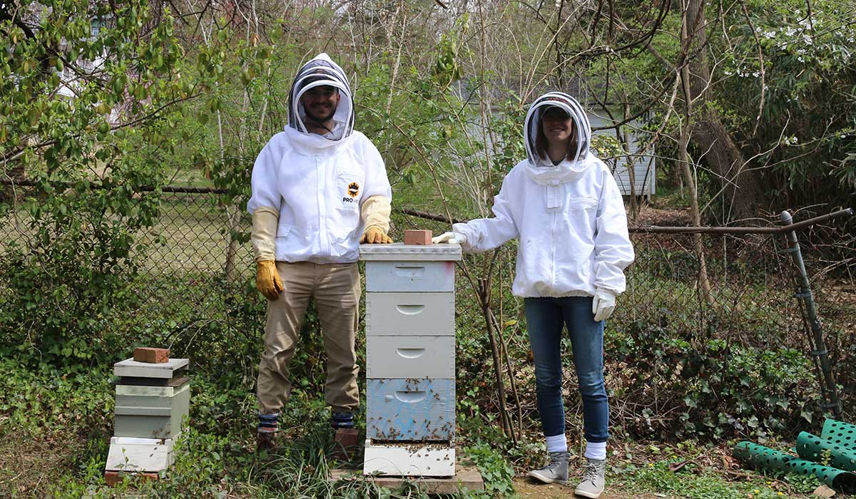 Students standing next to their beehives