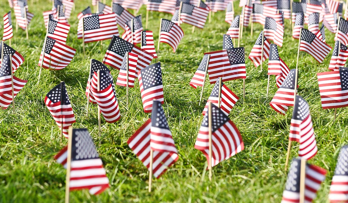 American flags on the university lawn