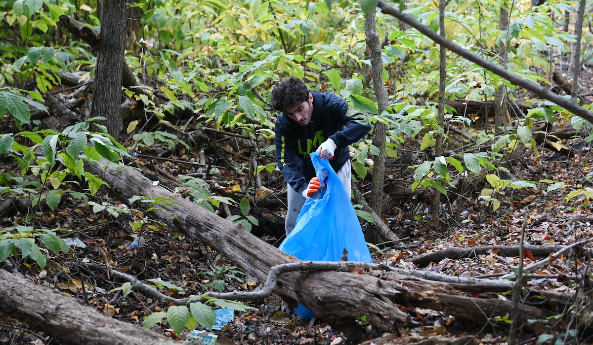 A student removing invasive plant species in the North Woods